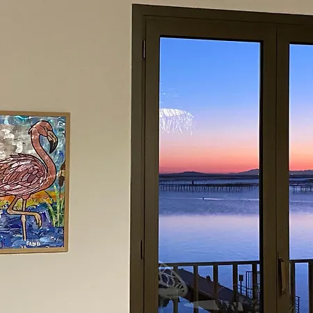 Balcons De Flamant Rose 아파트 부지그